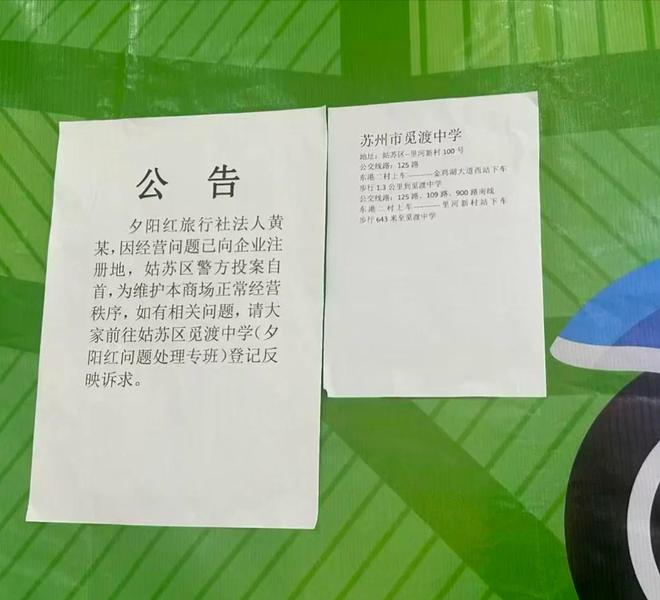 额外收入,浙江队能从FIFA获得朴镇燮世界杯补贴约32万美元